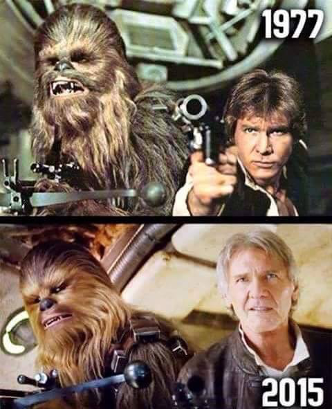 What kind of conditioner has Chewie found