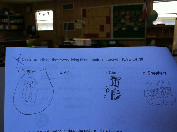 What Kindergartners Cant Live Without