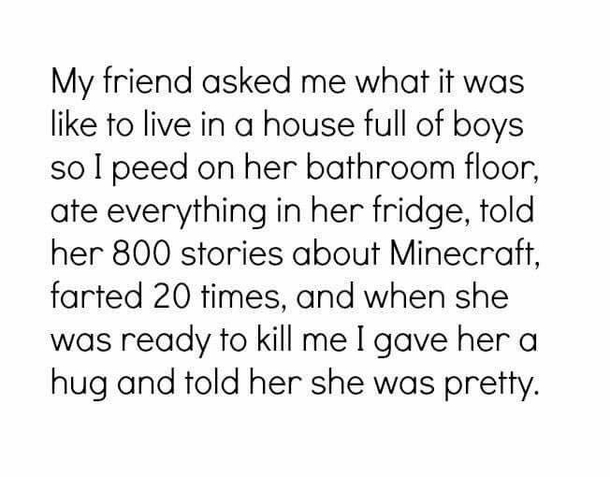What life is like with boys in the house