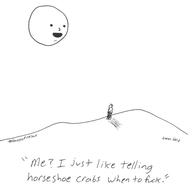 What Moon Want 