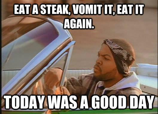 What my dog must be thinking right now