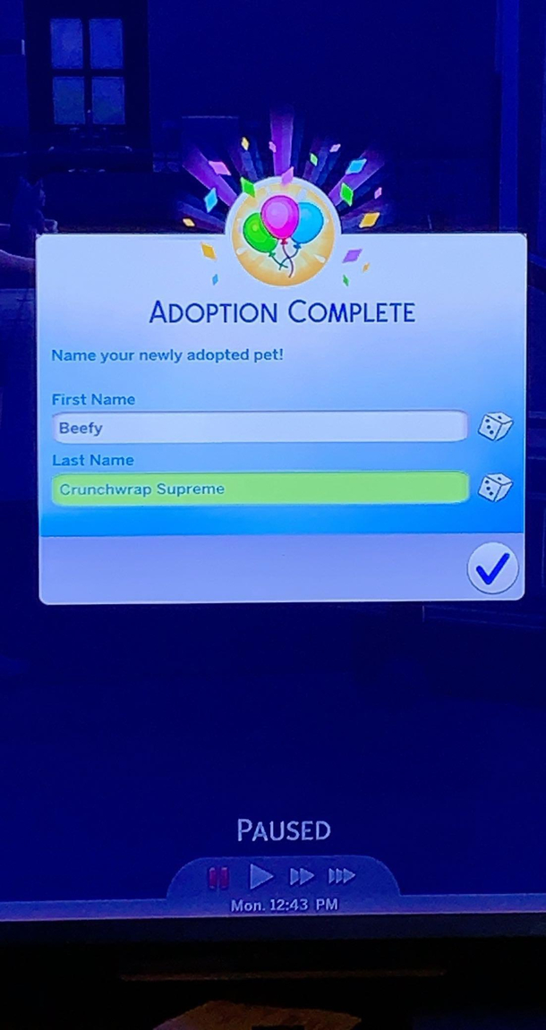What my fianc named my cat 