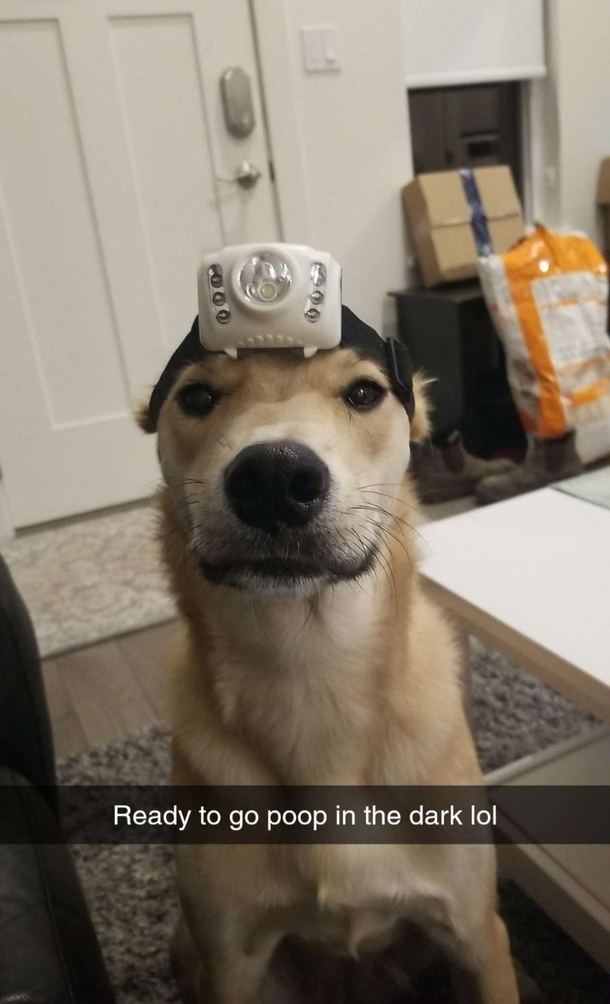 What my husband sends me while Im at work