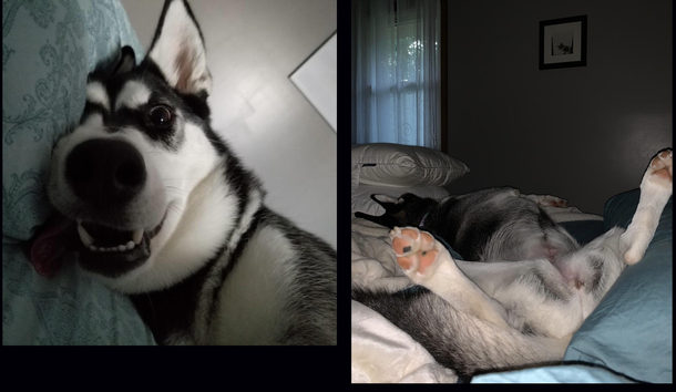 What my husband wakes up to vs what I wake up to