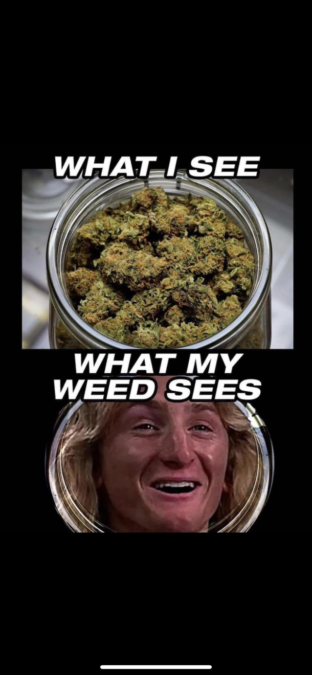 What my weed sees 