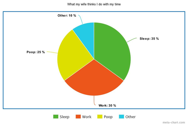 What my wife thinks I do with my time