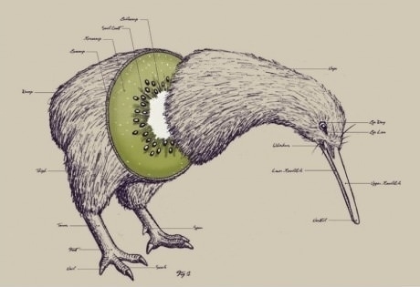 What New Zealanders wont tell you
