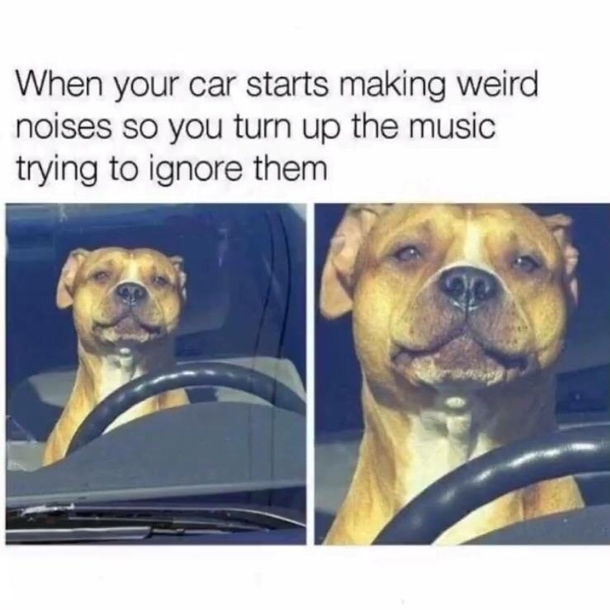 What noise
