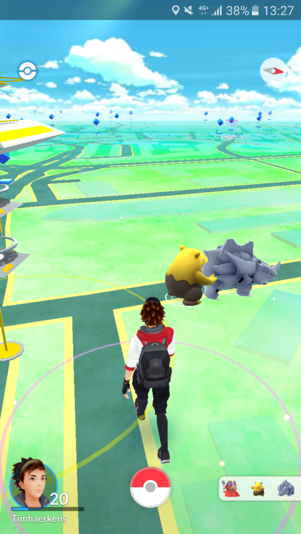 What Pokemons do when you are not around
