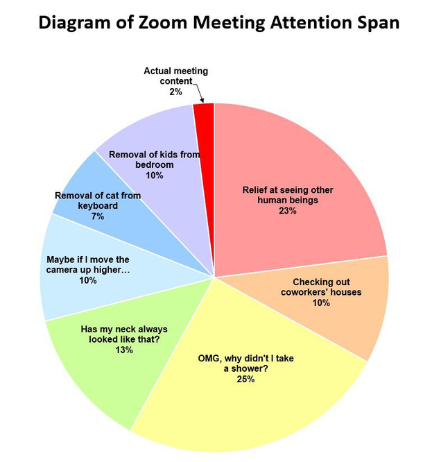 What really gets done on Zoom meetings