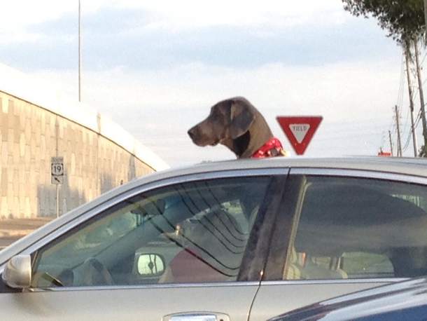 What Sunroofs are for