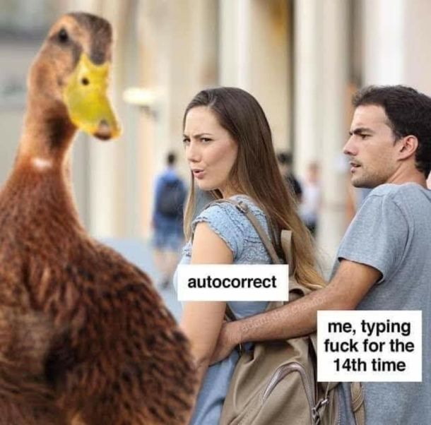 What the actual duck