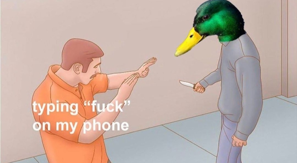 What the duck - Meme Guy