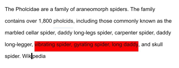 What the fuck are these spiders