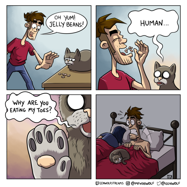 What the heck brain