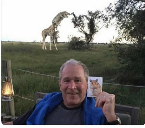 What the hell is happening in this picture