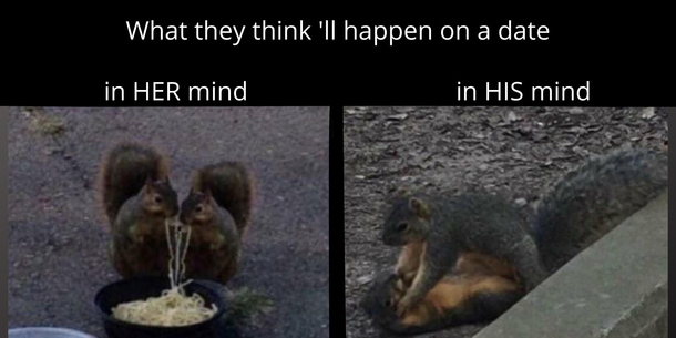 what they think its gonna happen on a date