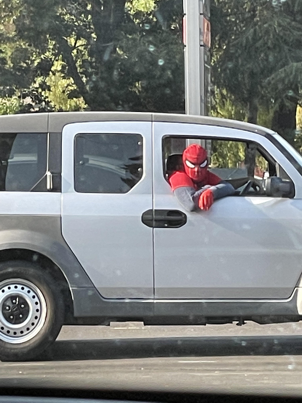 What timeline is this