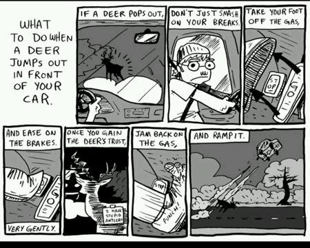 What to do when a deer
