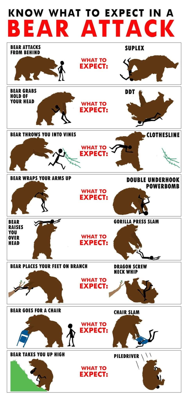 what to expect when a bear attacks