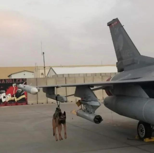 What type of missile is this