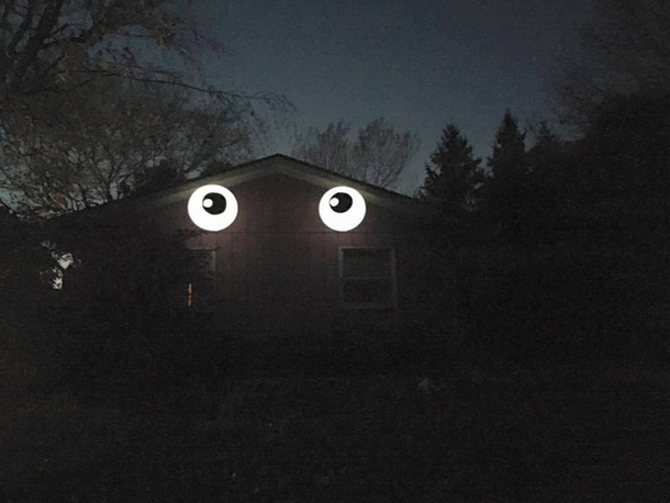 What we did to our house one Halloween
