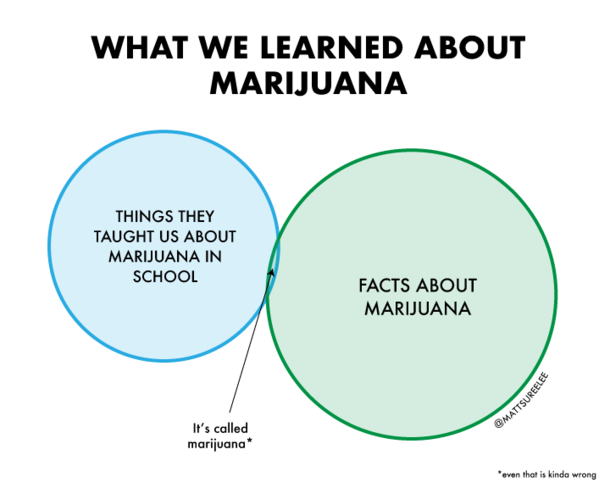 What we learned about marijuana