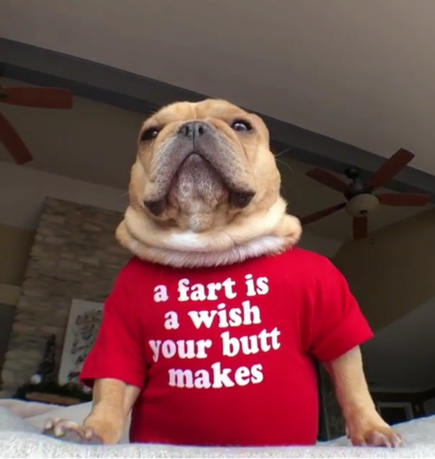 What wish does your butt make