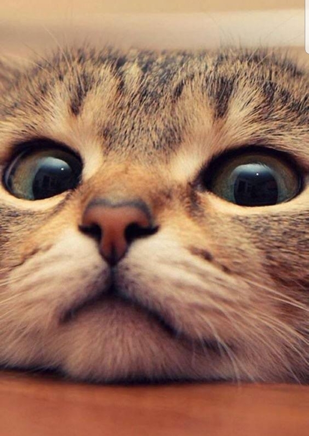 What you eatin Smells goooood