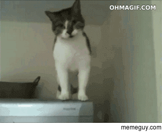What you think I cant get down from here
