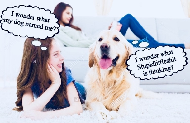 Whatcha thinking