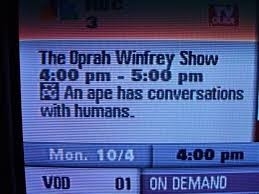 whatd you just say about oprah
