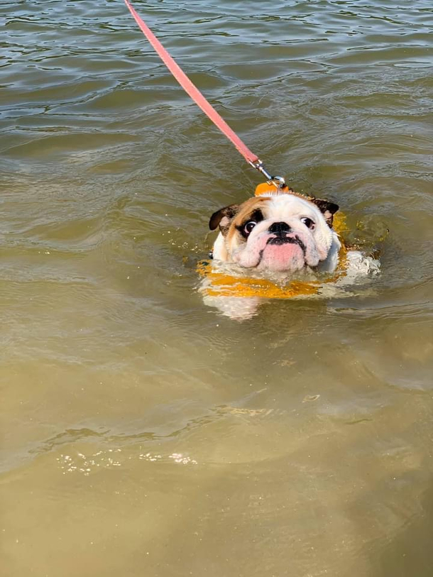 Whatever this dog is going through I feel it