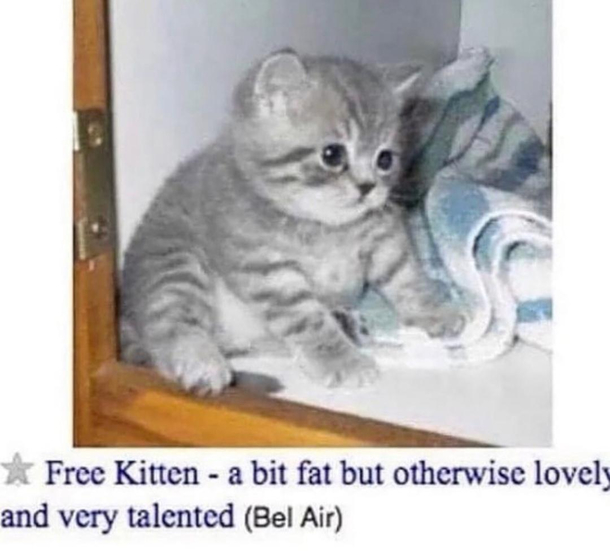Whats do you think his talent is