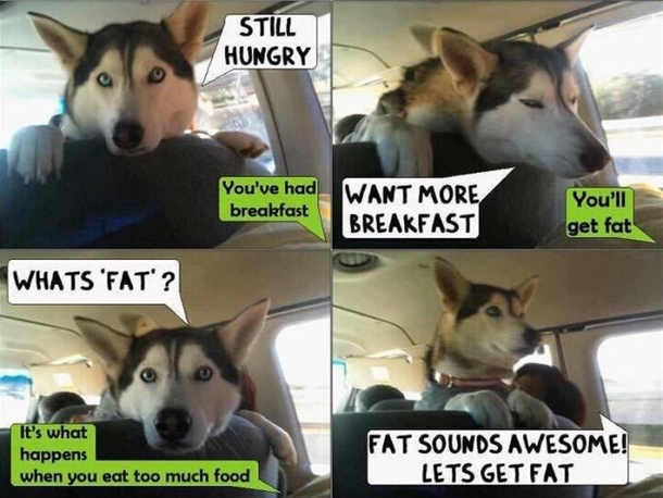 Whats fat