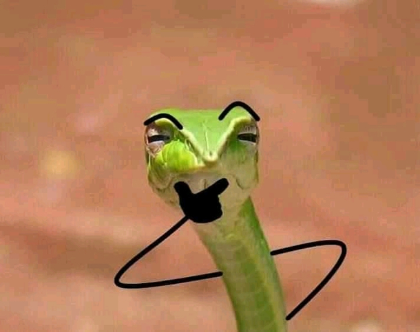 Whats he thinking