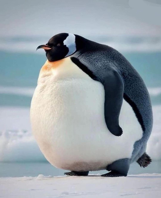 Whats is gangsters name penguin edition