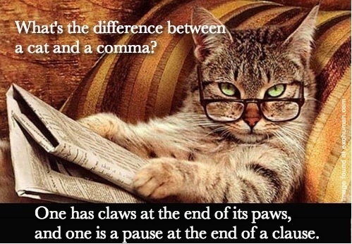 Whats the difference between a cat and a comma