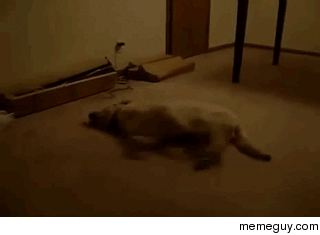 whats the matter boy have a bad dream