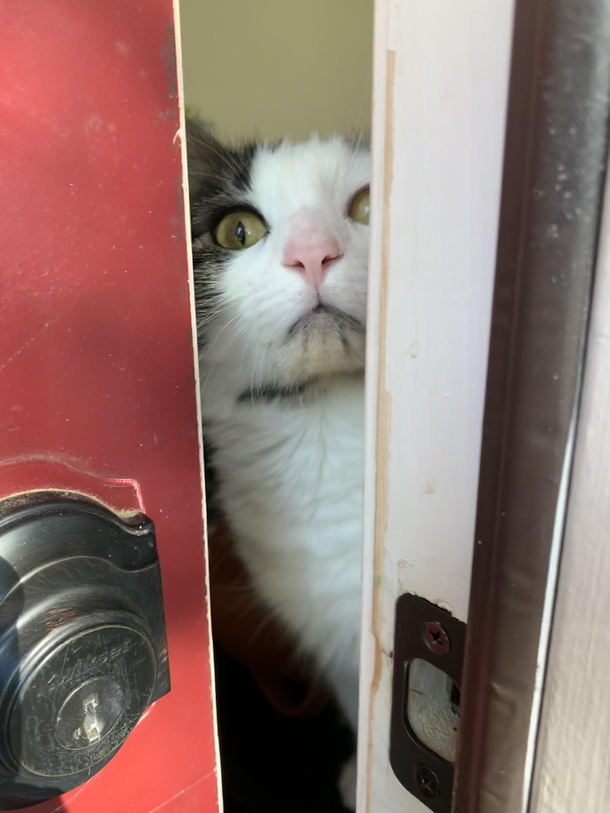 Whats the password