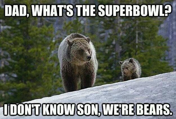 Whats the Super Bowl
