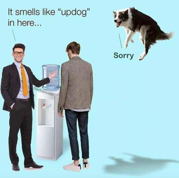 Whats updog