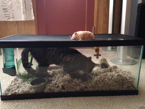 whats wrong with this picture