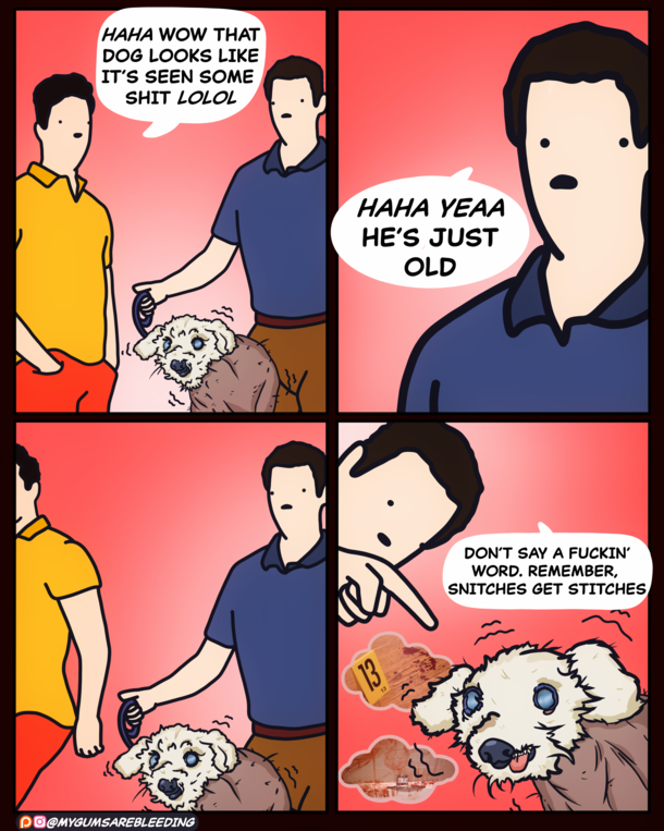 Whats wrong with your dog