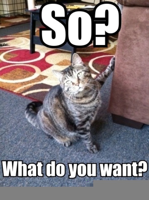 Whatz Youz wantZ
