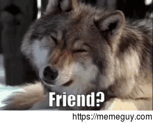When a coworker whose company you enjoy texts you about something non-work-related for the first time