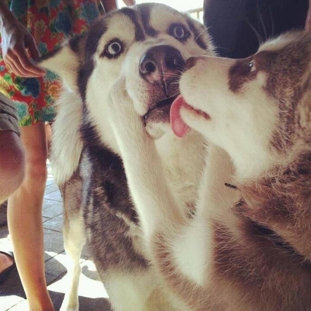 When a girl kisses you in front of her dad