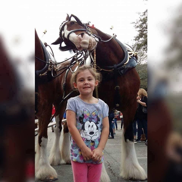 When a horse photo bombs you 