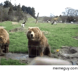 When a pretty girl waves at me