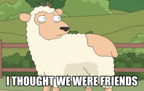 When an interview goes very well then I get an email saying they wont proceed with my application